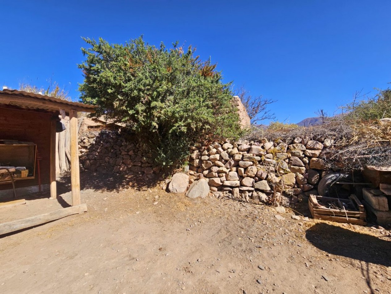 VENTA Casa en Tilcara